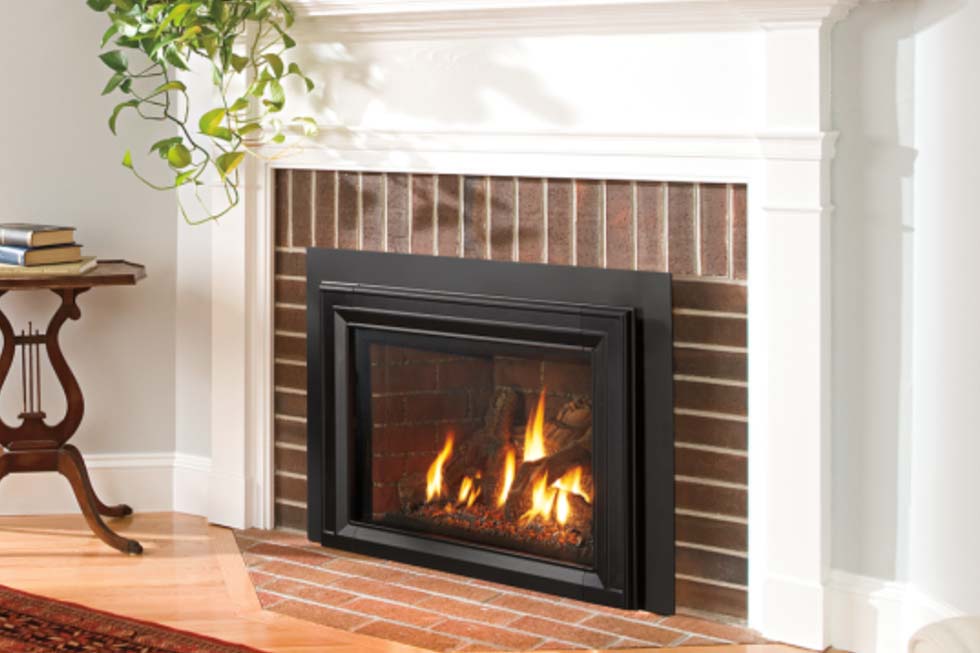 30 DV mV System fireplace insert by Real Fyre | Yorktown Heights, NY